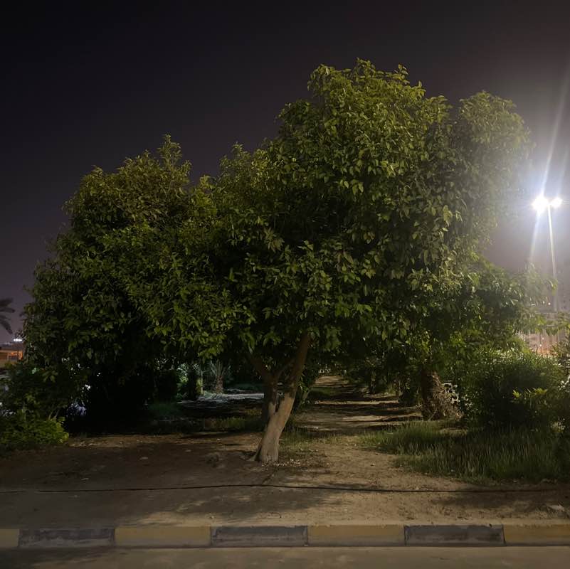 Mohamed Loay Ali post 3