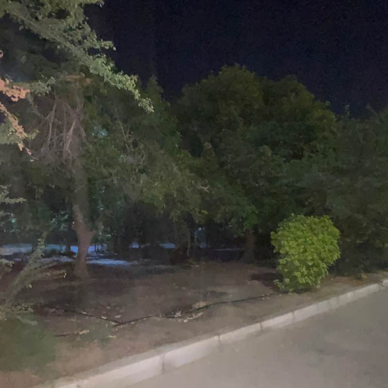 Mohamed Loay Ali post 1