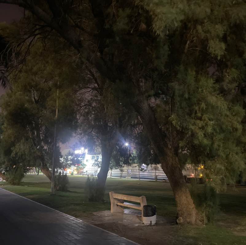 Mohamed Loay Ali post 3