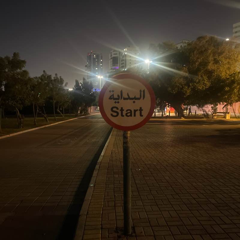 Mohamed Loay Ali post 1