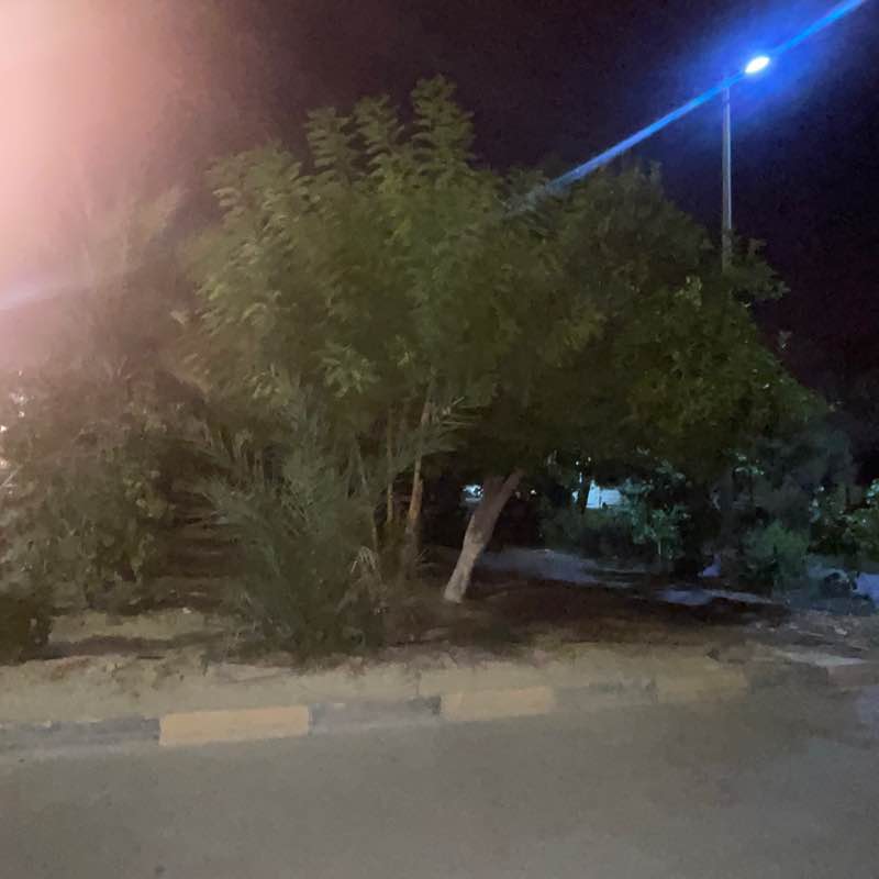 Mohamed Loay Ali post 2