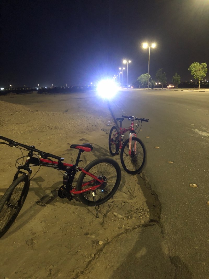 walking near me in منتزه الملك عبدالله البيئي in winter