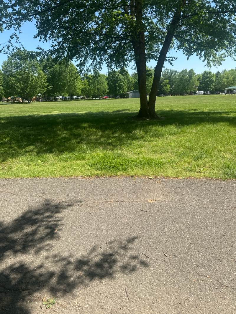 walking near me in Robsion Park in spring