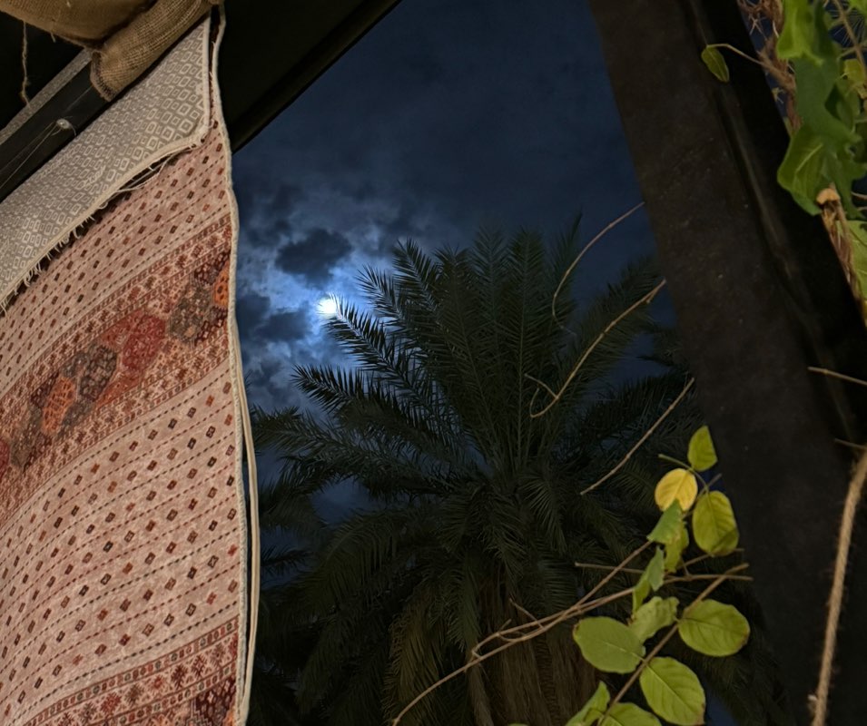 رهف إبراهيم icon