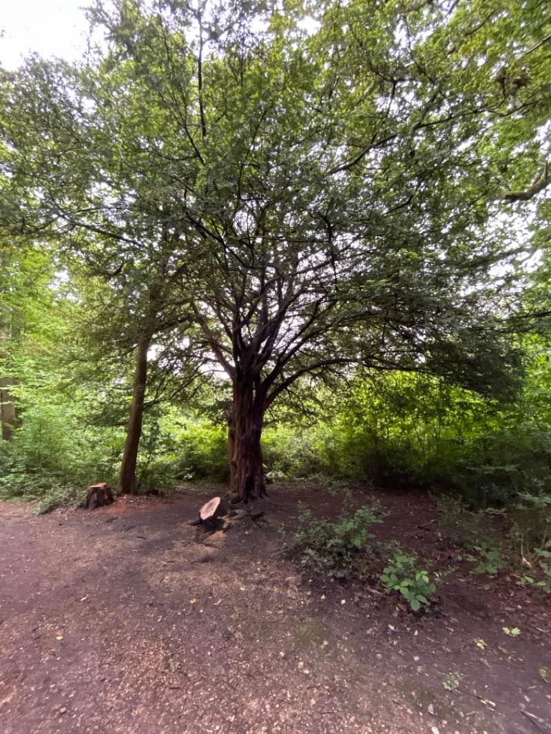 walking near me in Hampshire Farm Meadow in winter
