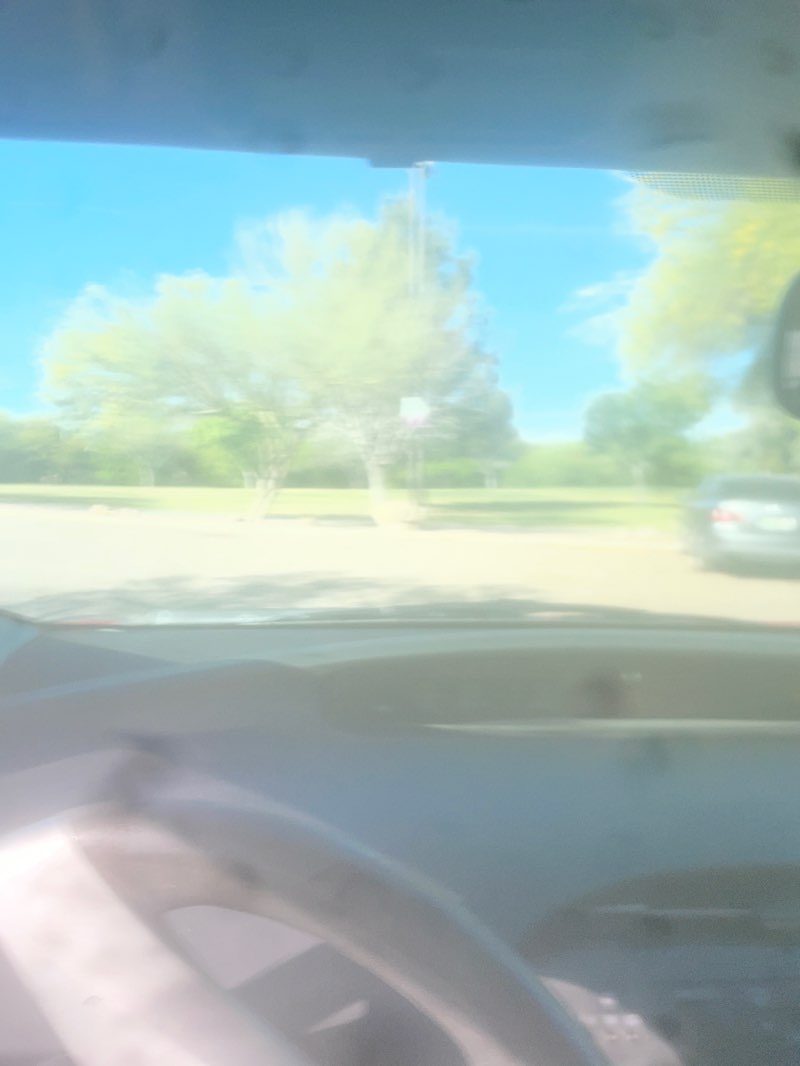 walking near me in Silverlake Park in spring