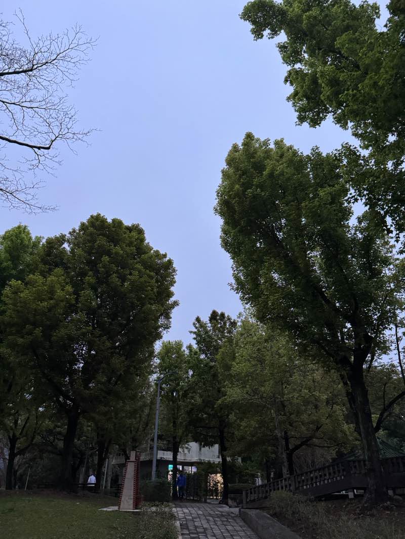 walking near me in Gong-guan Park in spring