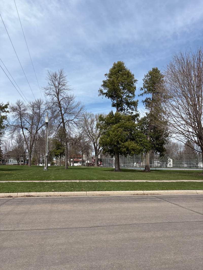 walking near me in Nester Park in spring