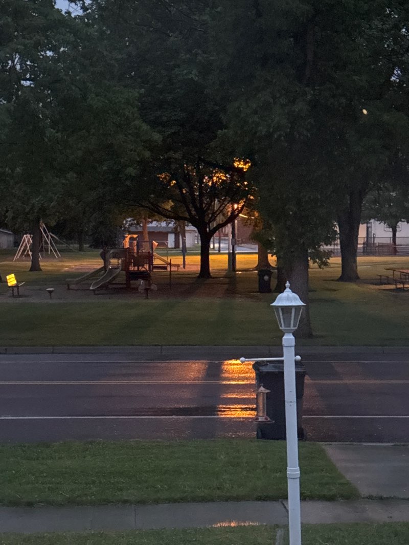walking near me in Vernon Park in summer