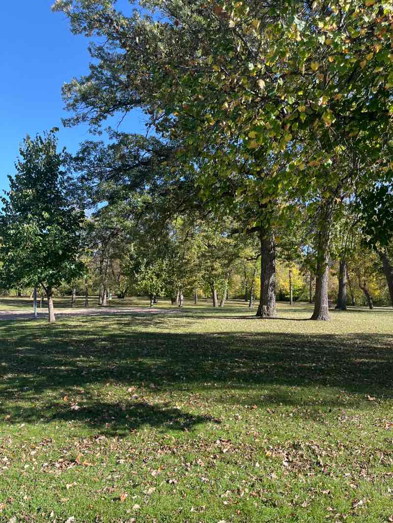 walking near me in Oakland Park in autumn