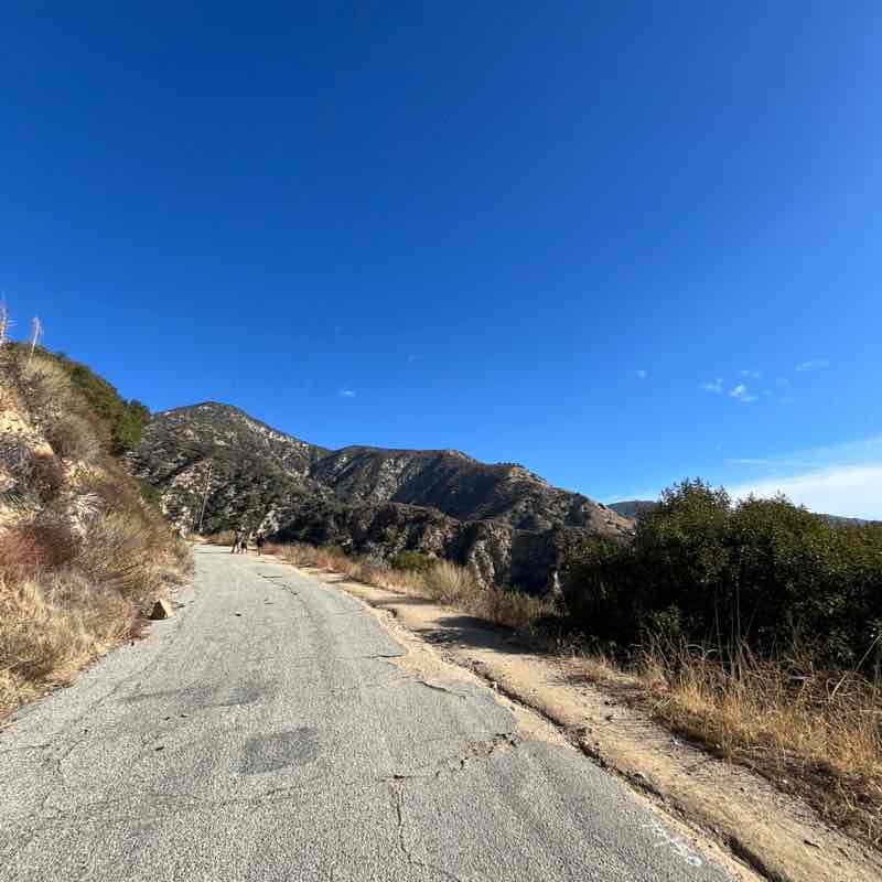 Carlos Galvez post 1