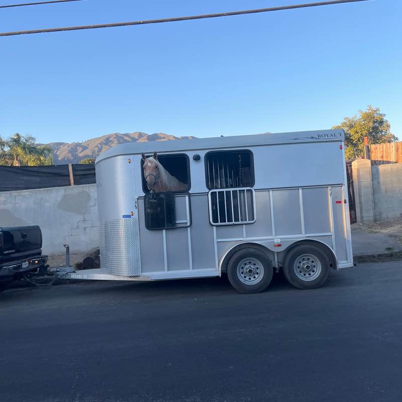 Carlos Galvez post 2