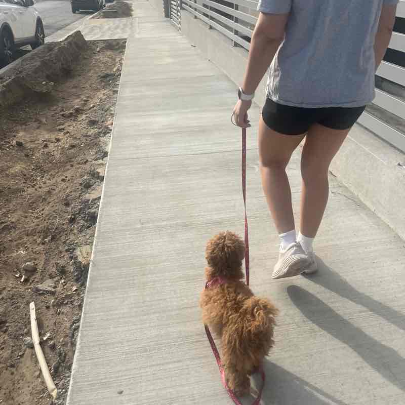 Carlos Galvez post 1