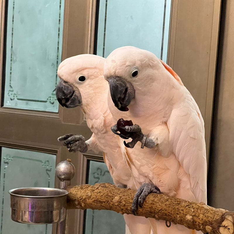 3家 Jerry 陳弘杰 profile