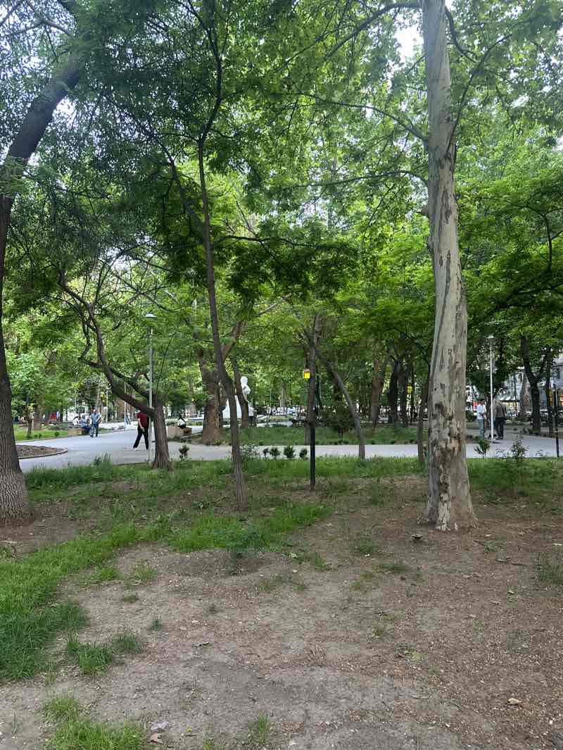 walking near me in Park after Martiros Saryan in spring
