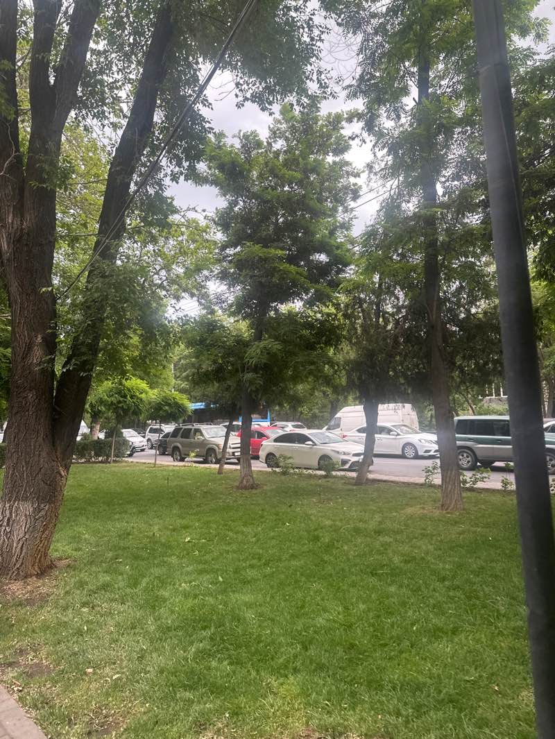 walking near me in "Buenos Aires" Park in summer