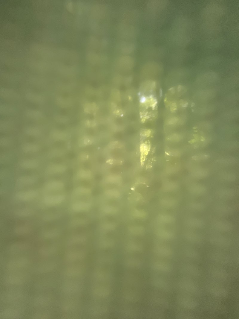 walking near me in Copley Community Park in winter