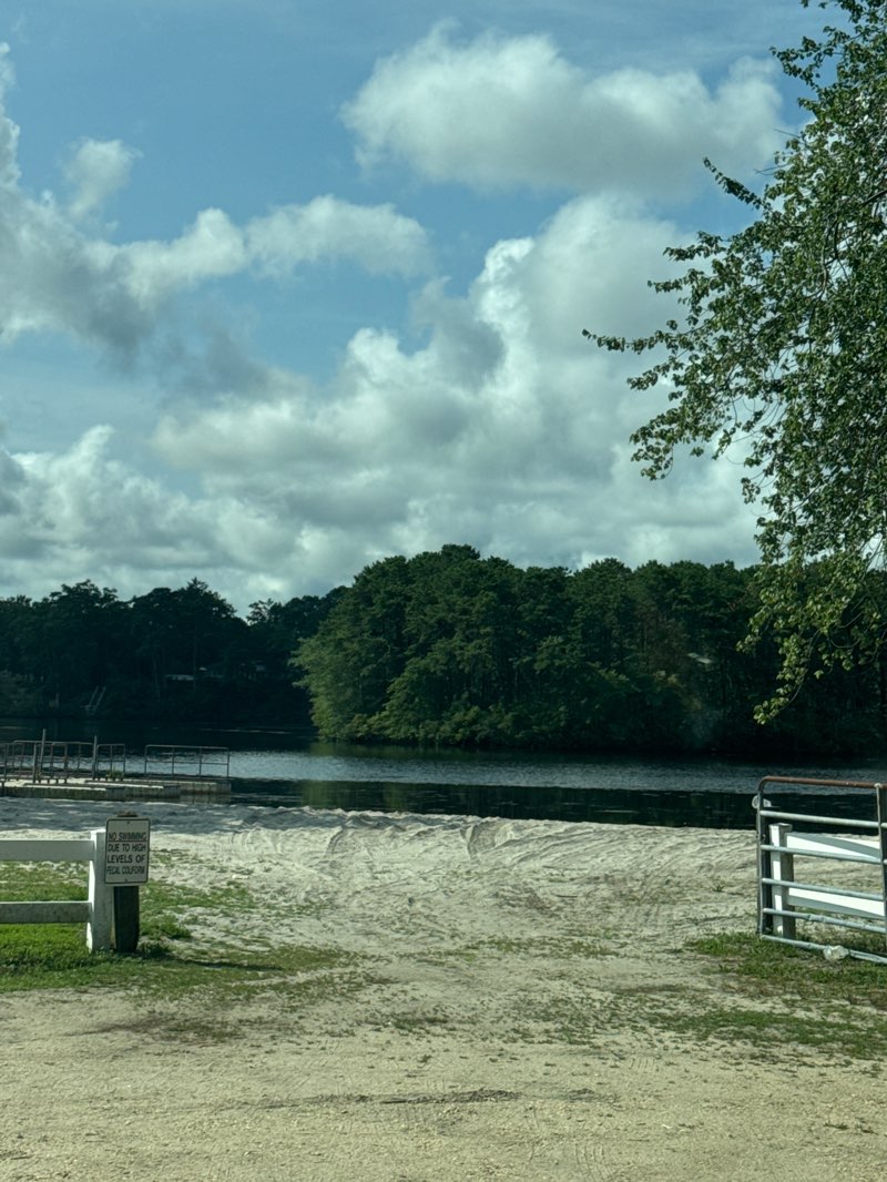 walking near me in Pine Lake Park in summer
