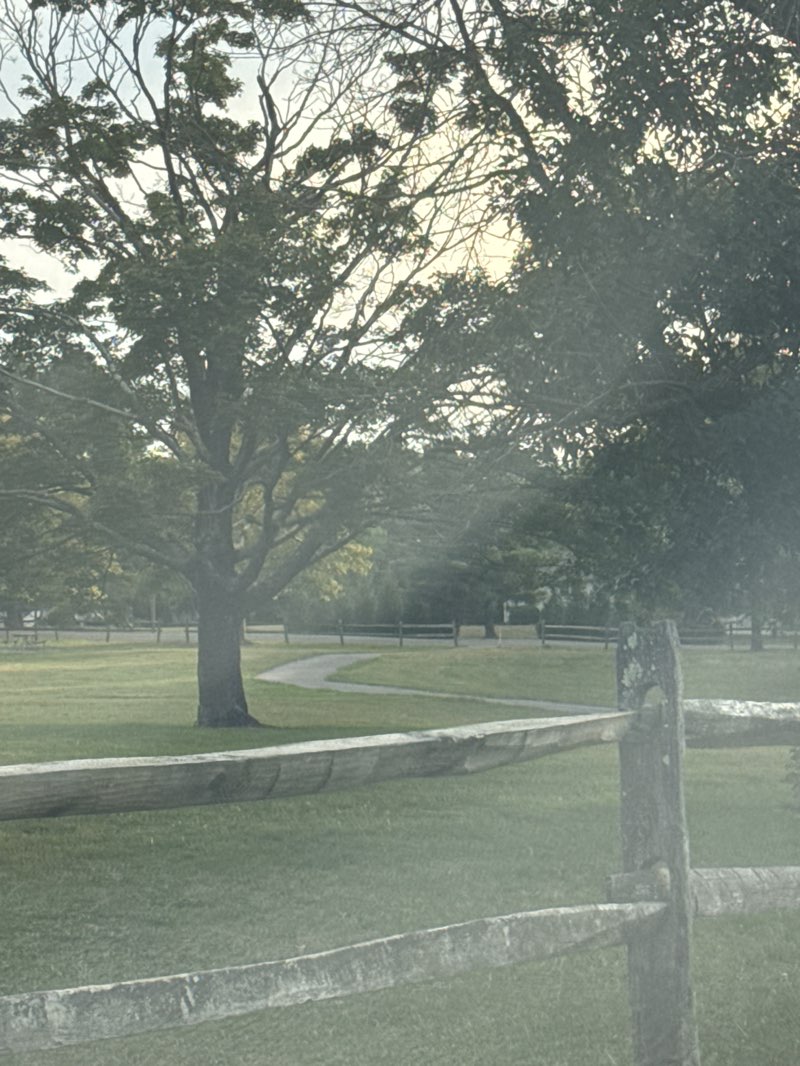 walking near me in Wynnefield Park in autumn