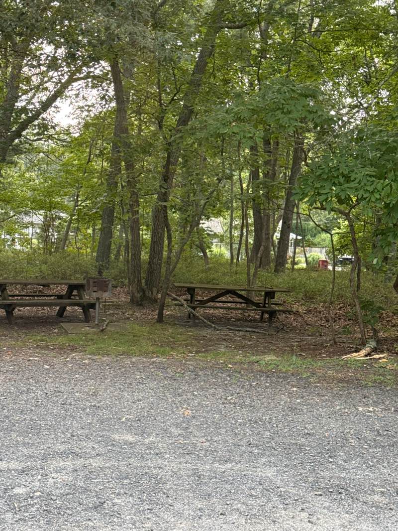 walking near me in Mill Creek Park in autumn
