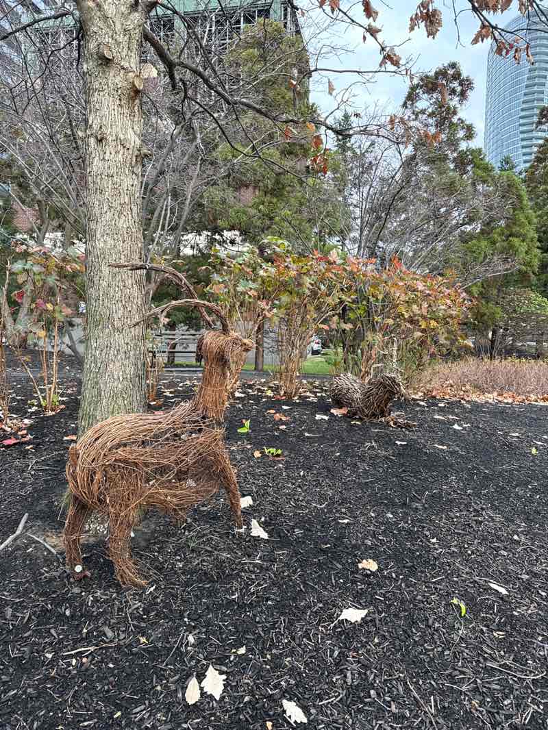 walking near me in Newport Green in autumn