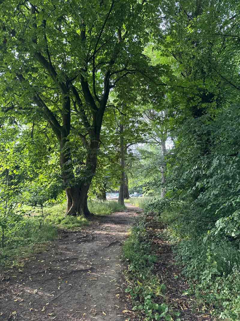 walking near me in Farnley Hall Park in summer