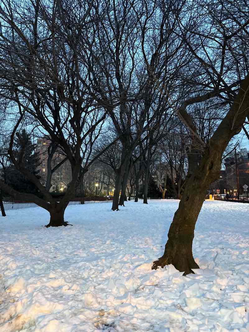 walking near me in Hamilton Park in winter