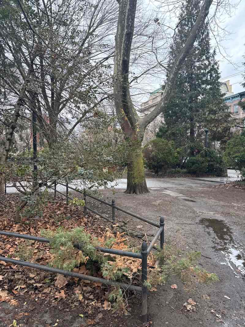 walking near me in Van Vorst Park in spring
