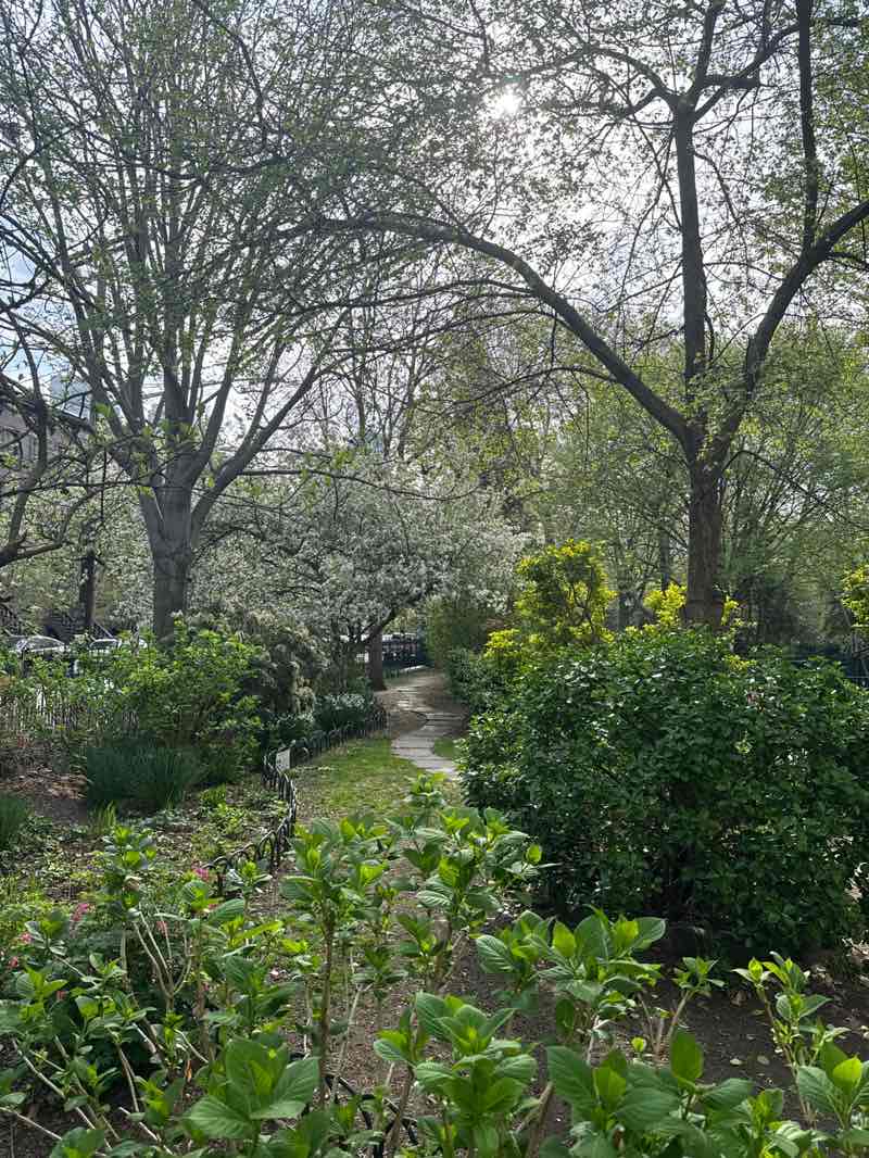 walking near me in Van Vorst Park in spring