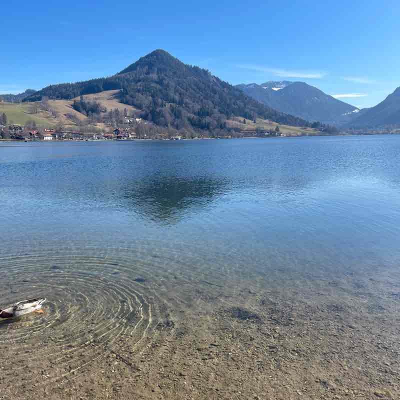 CS DACH Walking for Wellbeing Somaieh post image