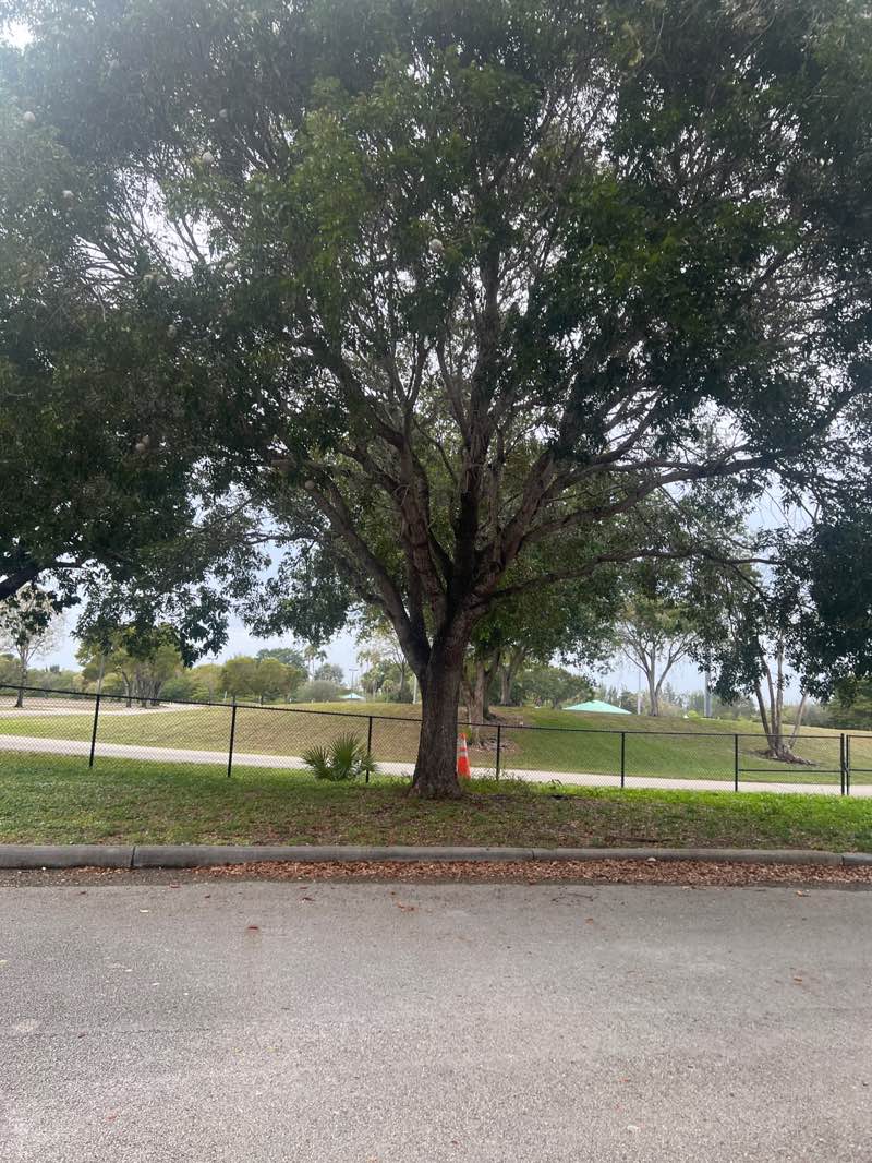 walking near me in CB Smith Park in winter