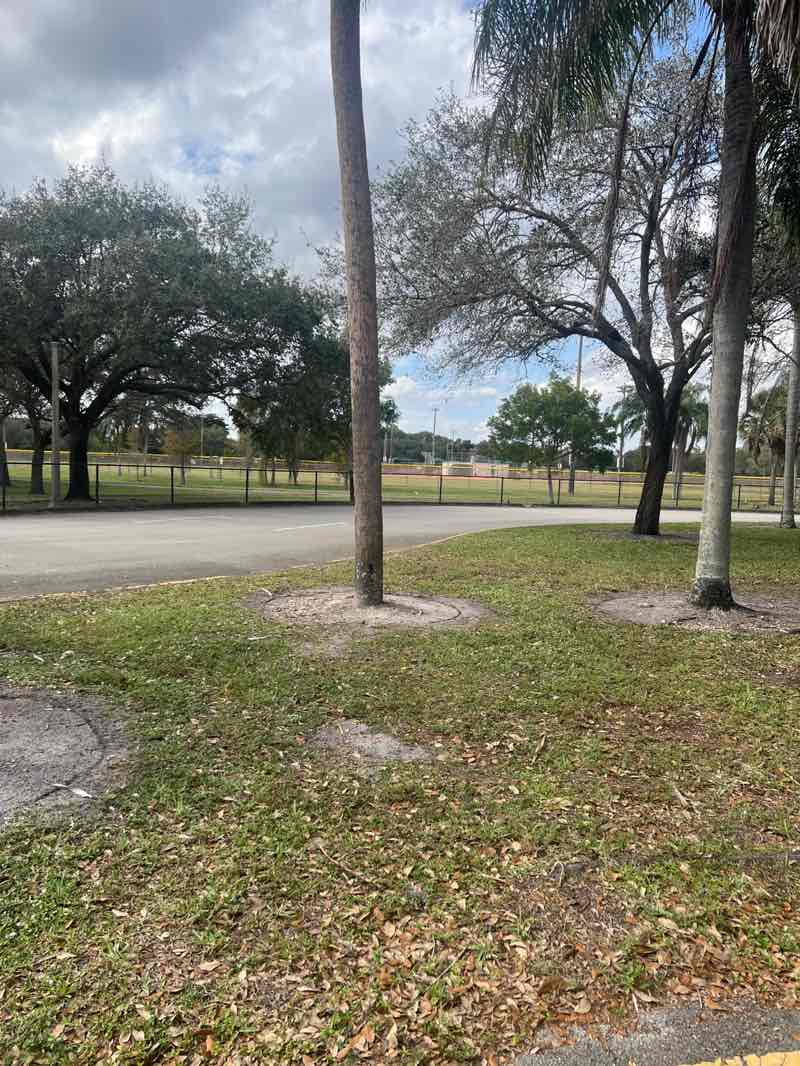 walking near me in Brian Piccolo Park in winter