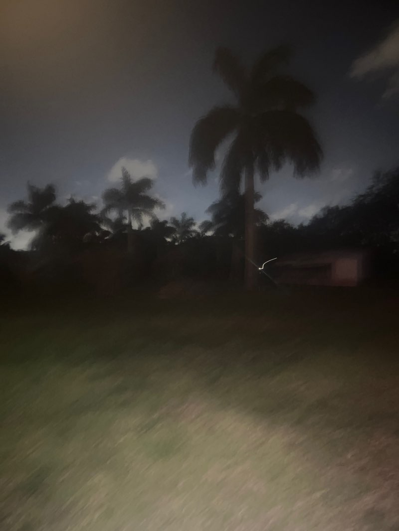 walking near me in Jerry Morgan Park in spring