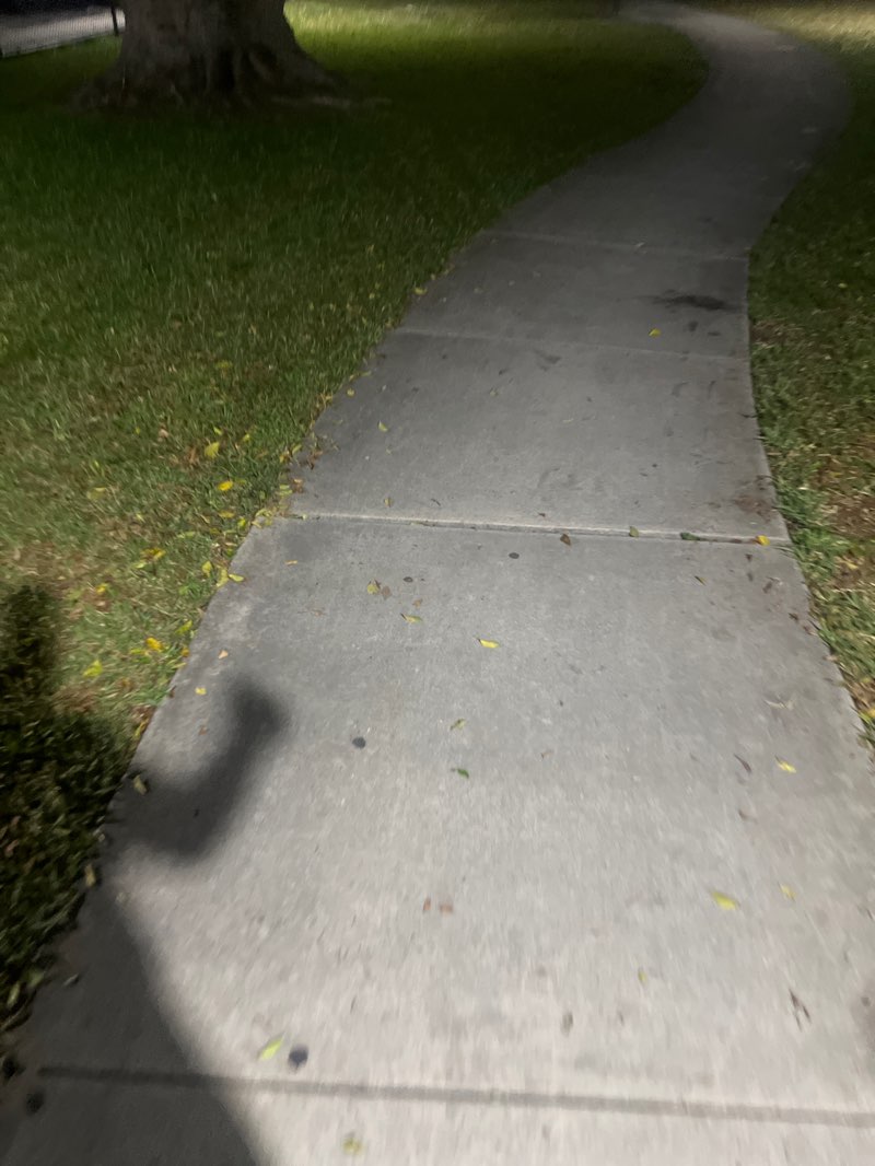 walking near me in Montella Park in spring