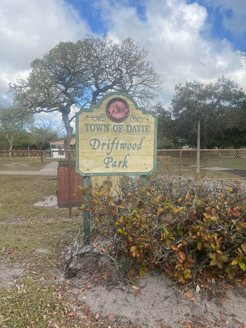 walking near me in Driftwood Estates Park in spring