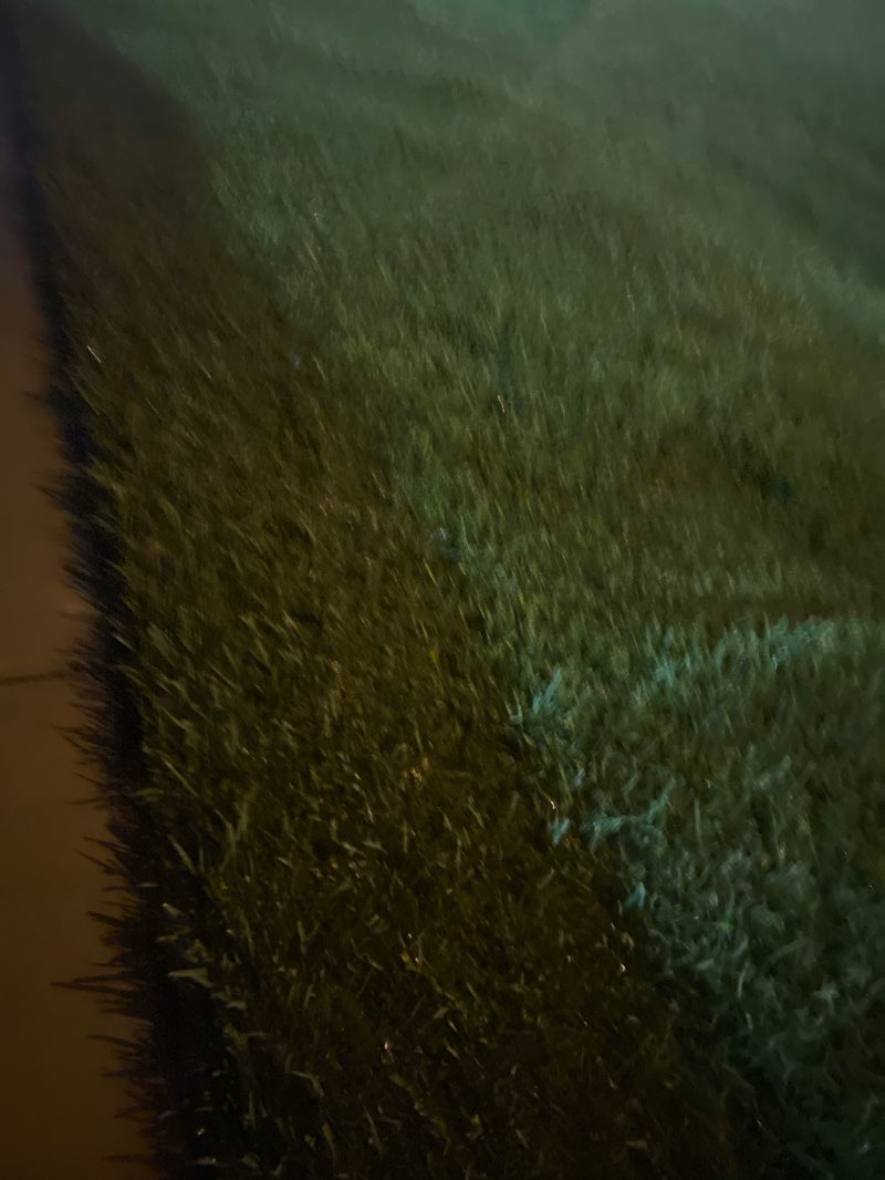 walking near me in CB Smith Park in spring