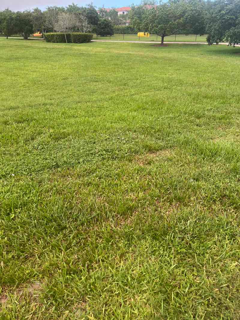 walking near me in Monterra Linear Park South in summer