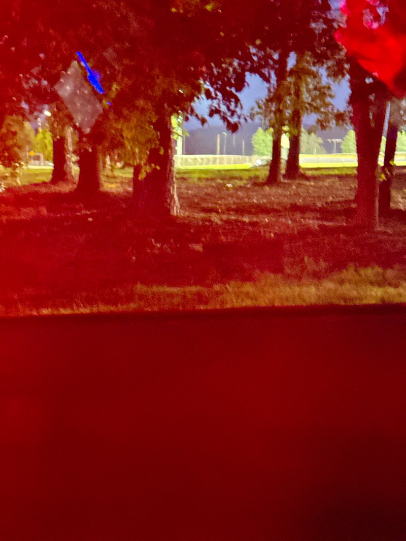 walking near me in Harrison Park in autumn