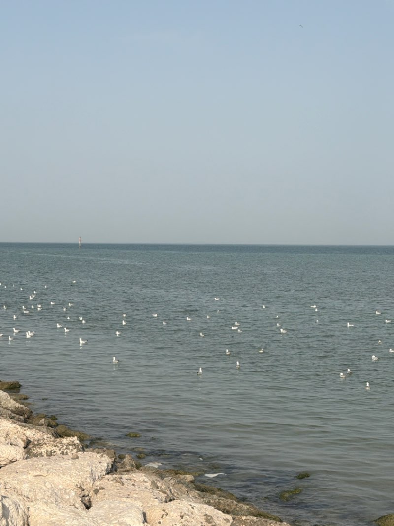 walking near me in South Corniche Strip - Khobar in winter