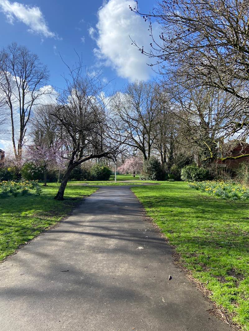 walking near me in Moss Park in spring