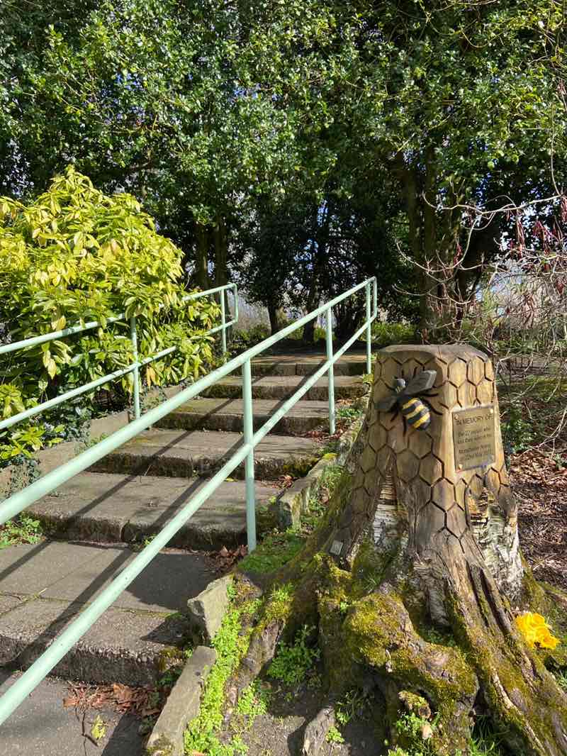 walking near me in Davyhulme Park in spring