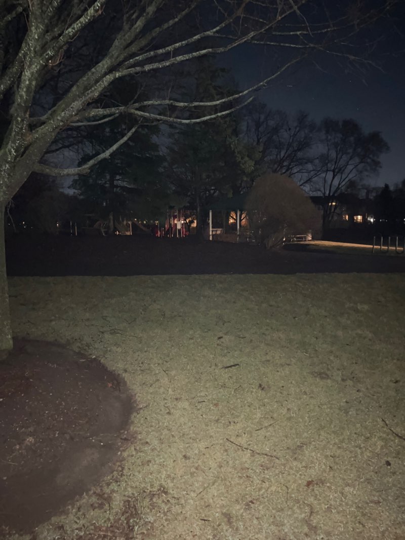 walking near me in Walsh-Westgate Park in spring