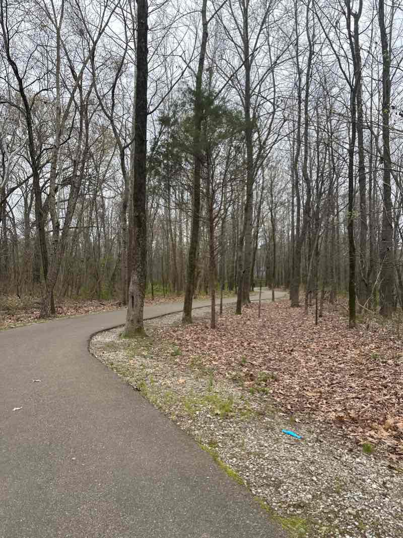 walking near me in Fletcher Creek Park in winter