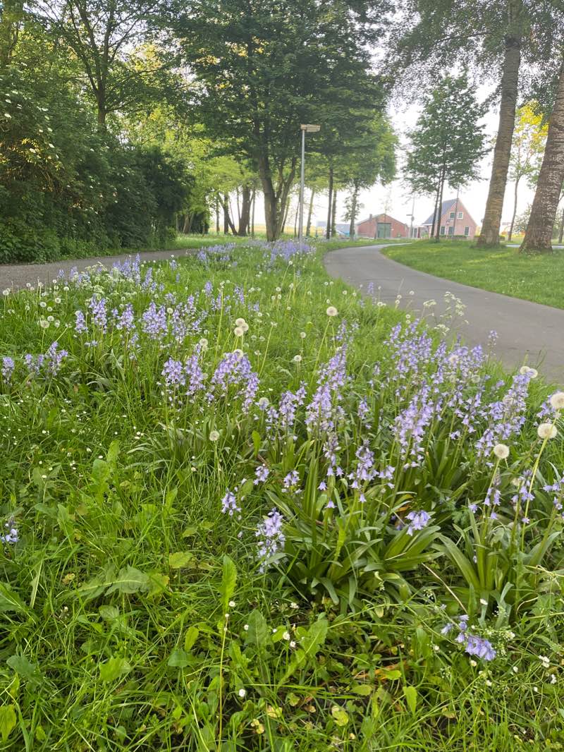 walking near me in natuur- en recreatiegebied Kardinge in winter