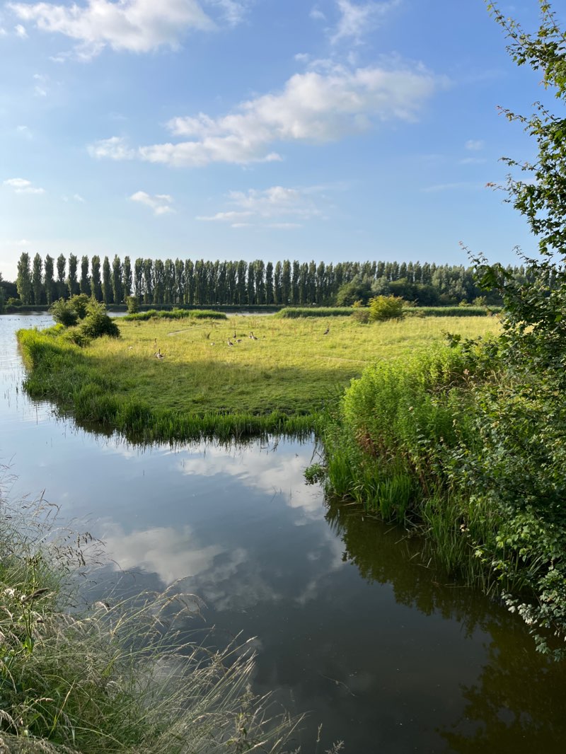 walking near me in Dwarsdijkerbos in winter