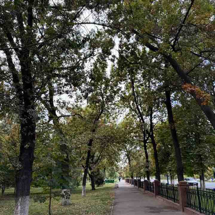 Tashkent walkers🚶🏻‍♂️ Dilafruz post image