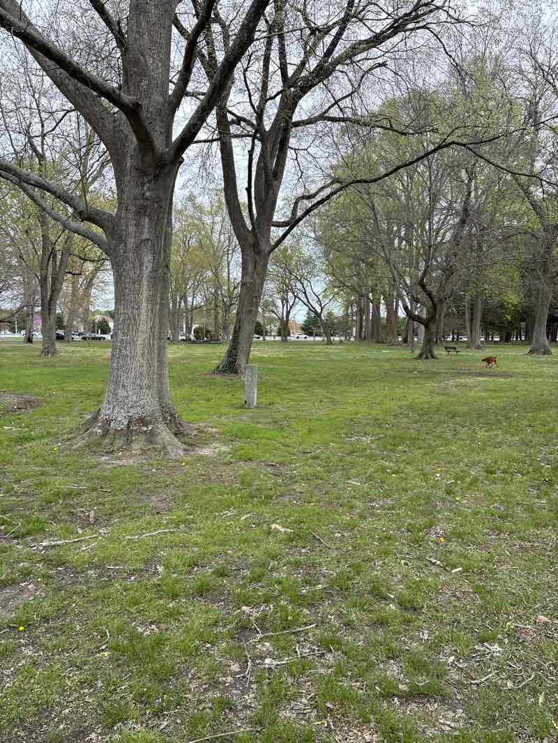 walking near me in Stephen Decatur Park in spring