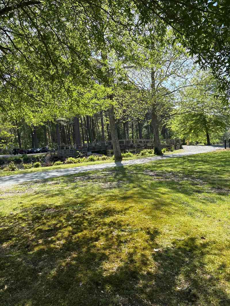 walking near me in Salisbury City Park in spring