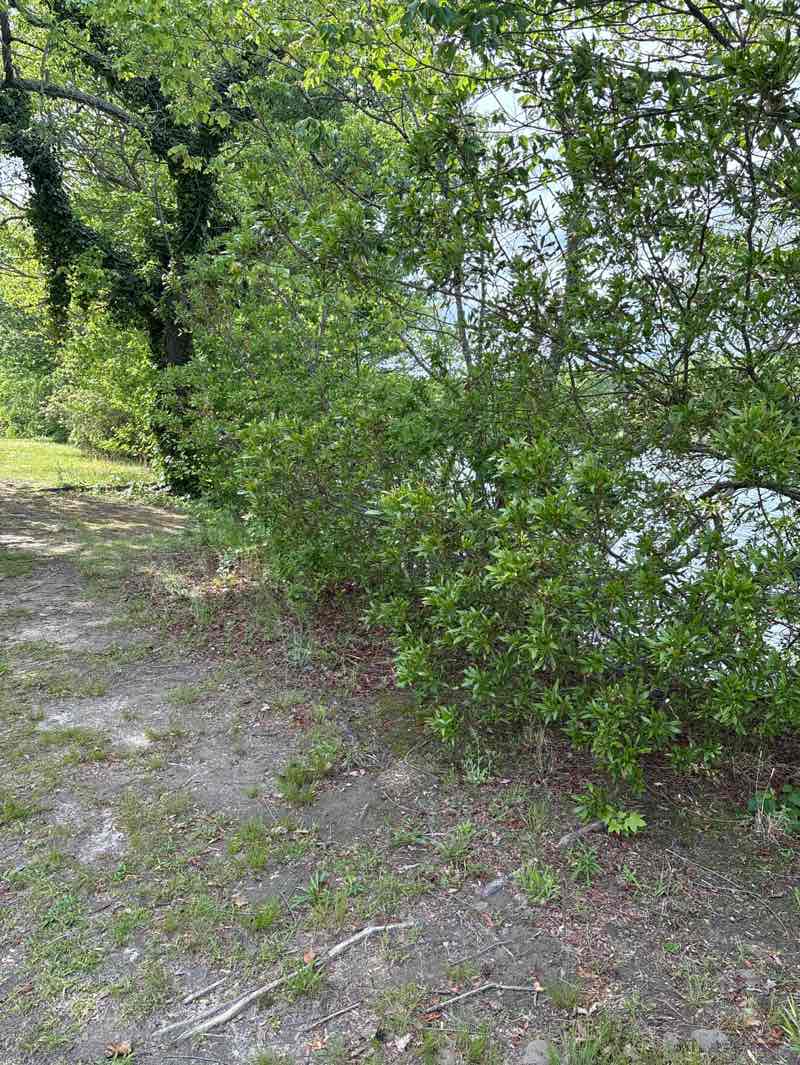 walking near me in Veterans Memorial Park in spring