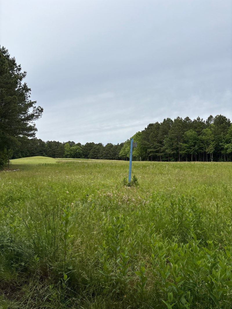 walking near me in Herring Creek Nature Park in spring